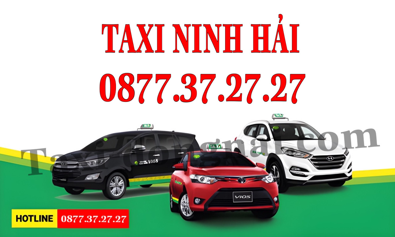 Taxi Đồng Nai – Dịch vụ Taxi đường dài – Xe đưa đón Sân Bay