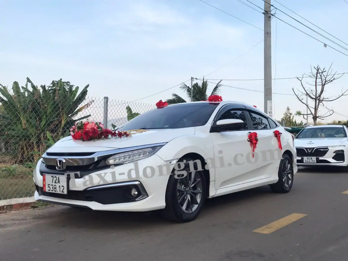 Xe Long Hải Đi Sân Bay